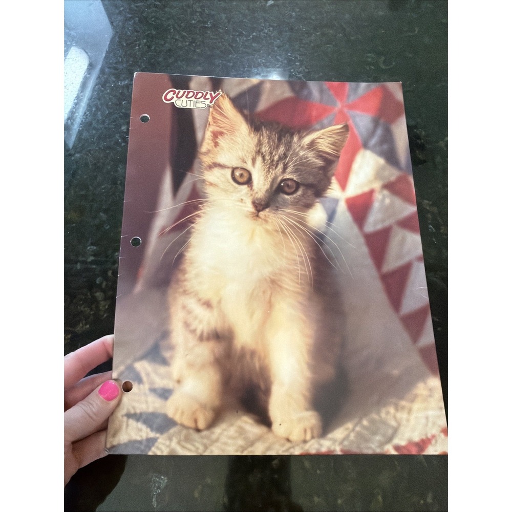 Cuddly Cuties Vintage Y2K Kitten Folder Portfolio School Pockets 3 Ring